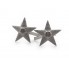 Pair of stars on shoulder boards