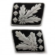 Colonel-general's collar tabs WSS