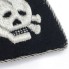 Officer collar tabs skull