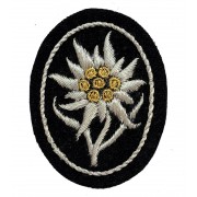 Edelweiss insignia of mountain troops for SS officer