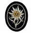 Edelweiss insignia of mountain troops for WSS officer